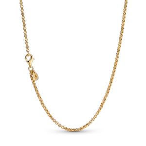 Pandora Rolo Chain Necklace