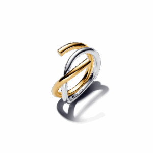 Organically Shaped Two-tone Double Ring