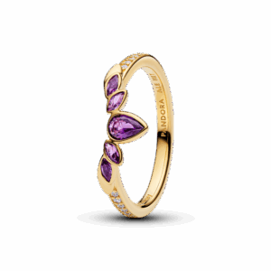 Disney Frozen Queen Anna Tiara Ring