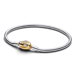 Snake Clasp & Chain Bracelet