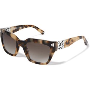 Brighton, Contempo Dot Sunglasses
