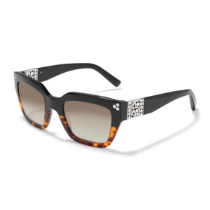 Brighton, Contempo Dot Dual Sunglasses
