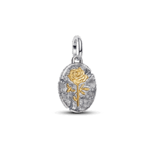 Pandora Rose Medallion Charm