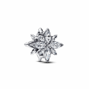 Pandora Sparkling North Star Charm